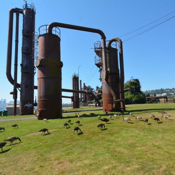 Gasworks Park in Seattle, WA