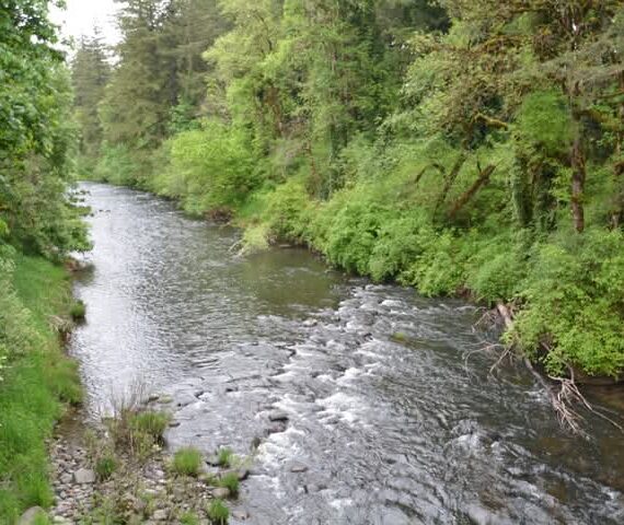 Outdoor Oregon