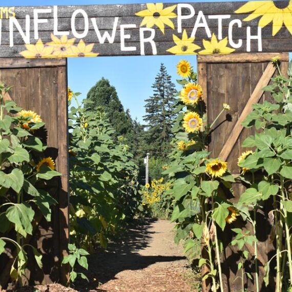 Lee Farms, Tualatin, Oregon
