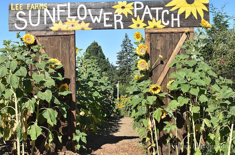 Lee Farms, Tualatin, Oregon